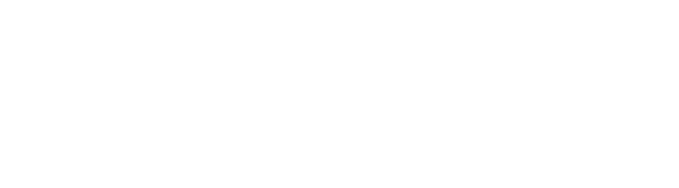Zenyt